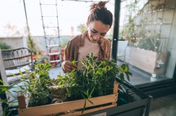 Kit da giardinaggio: gli attrezzi che non devono mancare