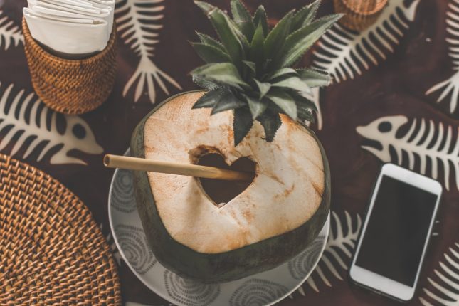 Come riciclare gusci di noce di cocco in modo creativo