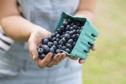 Cistite: curarla con rimedi naturali