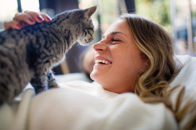 Cosa significa sognare i gatti