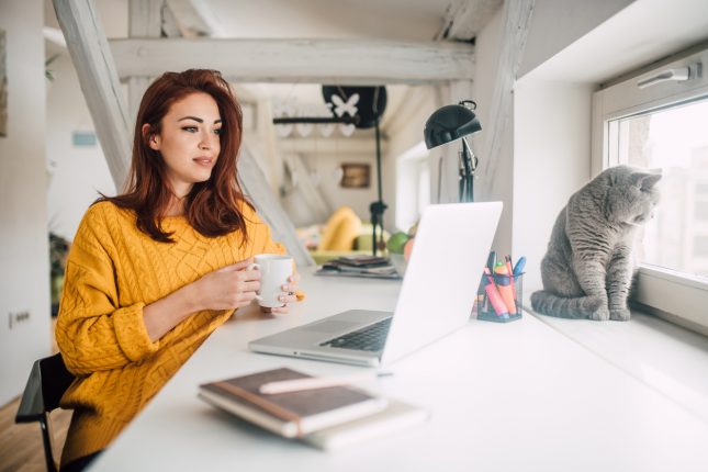 Lavoro online da casa i migliori tool per meeting