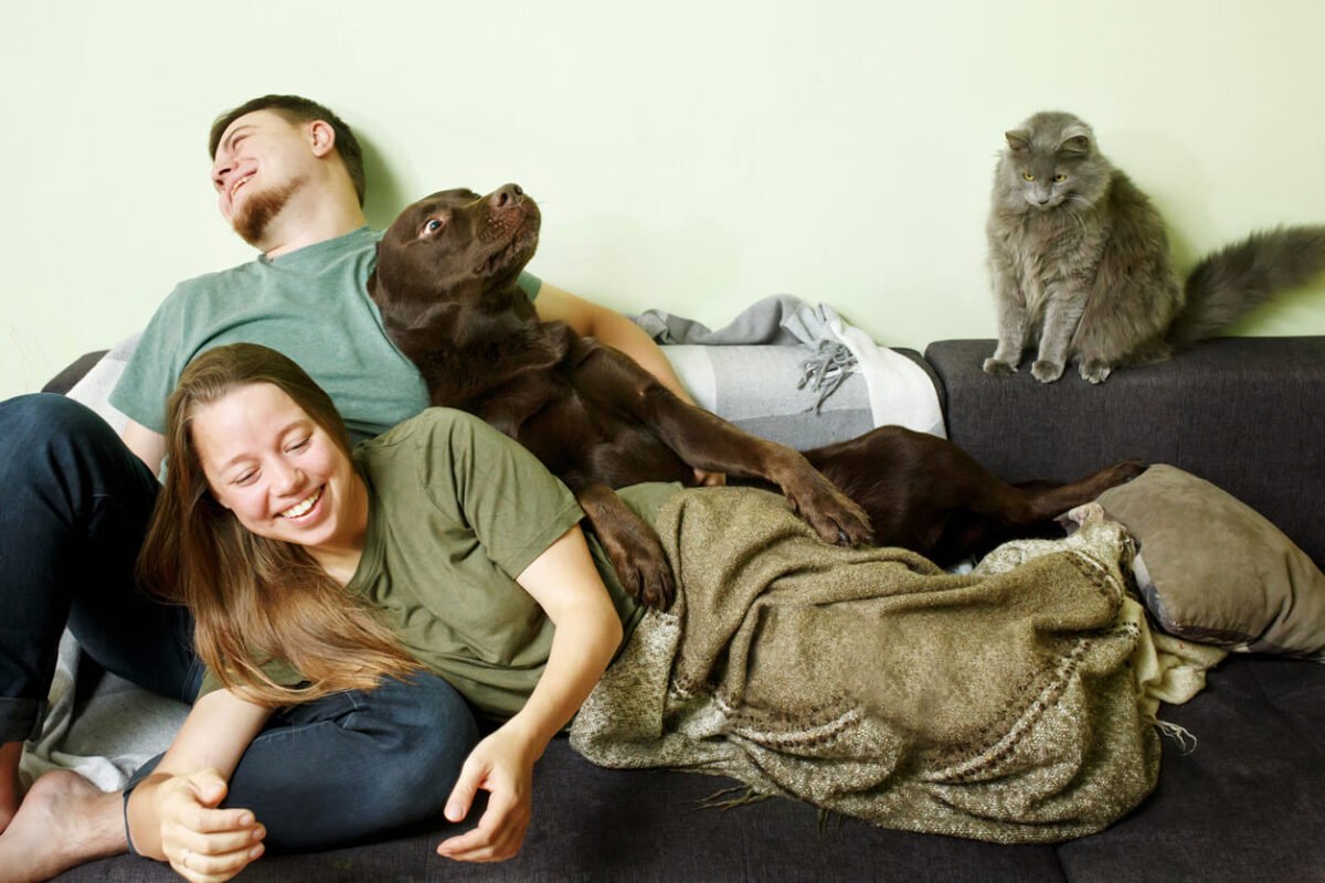Cani e gatti nello stato di famiglia