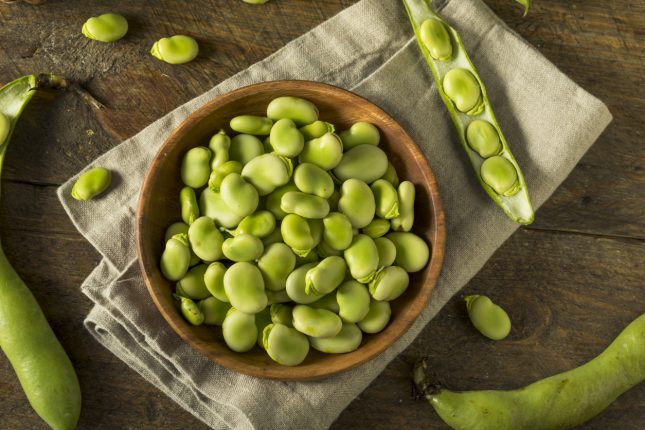 5 ricette con le fave