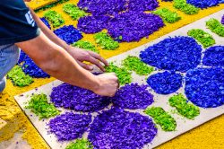 Idee creative per riciclare la segatura