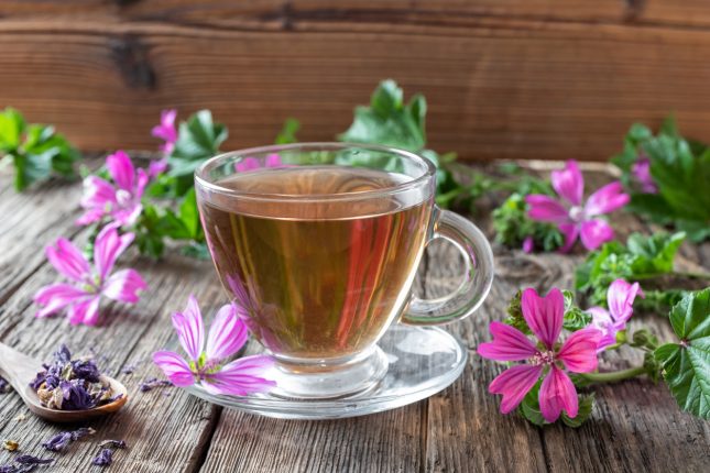 Malva rimedio per sfiammare il colon