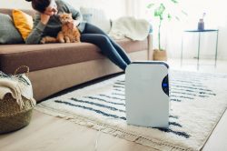 Purificatore d’aria, a cosa serve e come sceglierlo