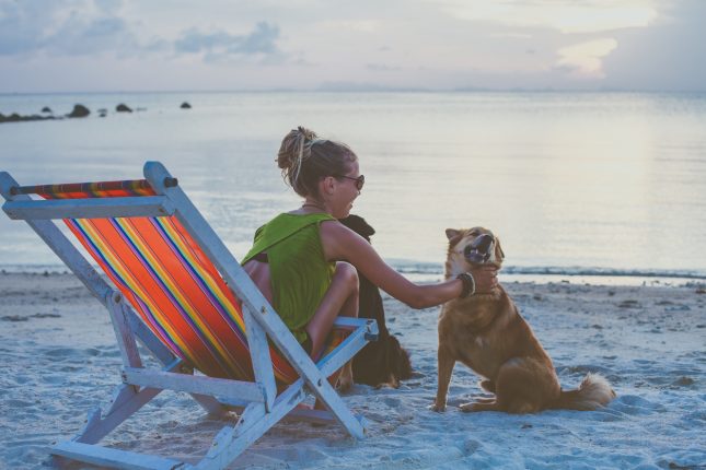 Dove lasciare il cane durante le vacanze