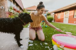 Come lavare il cane con prodotti naturali