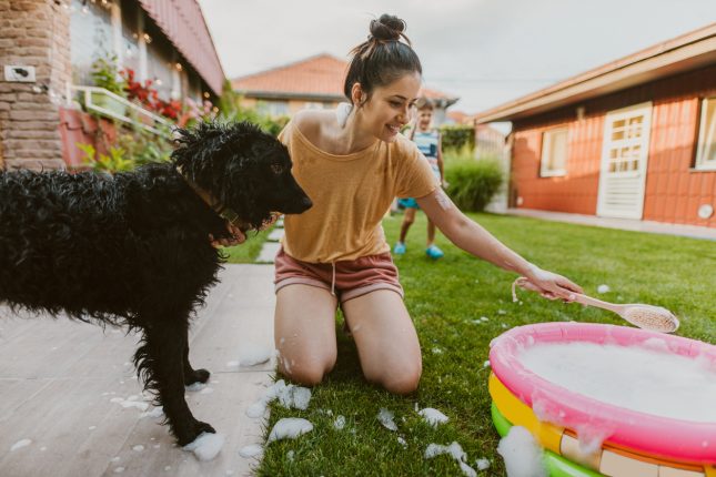 Come lavare il cane con prodotti naturali