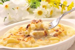 Pasta al forno con besciamella