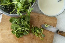 4 ricette con la Portulaca Oleracea