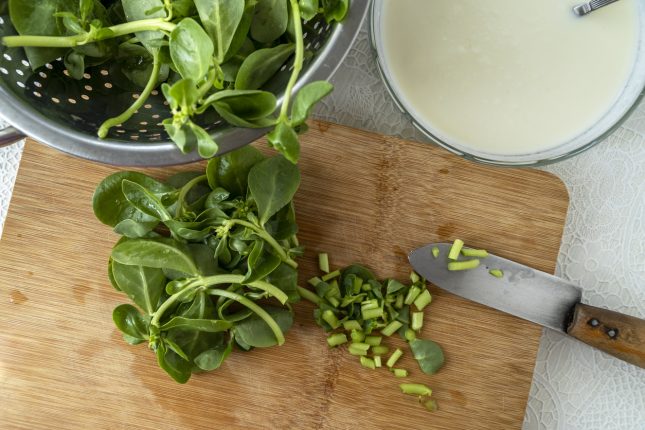 4 ricette con la Portulaca Oleracea