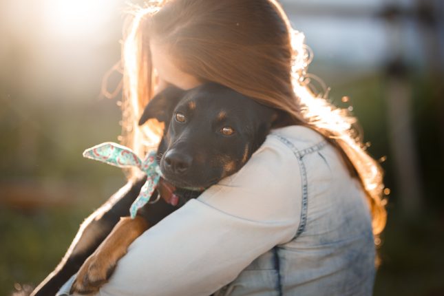 Consigli e suggerimenti per adottare un cane