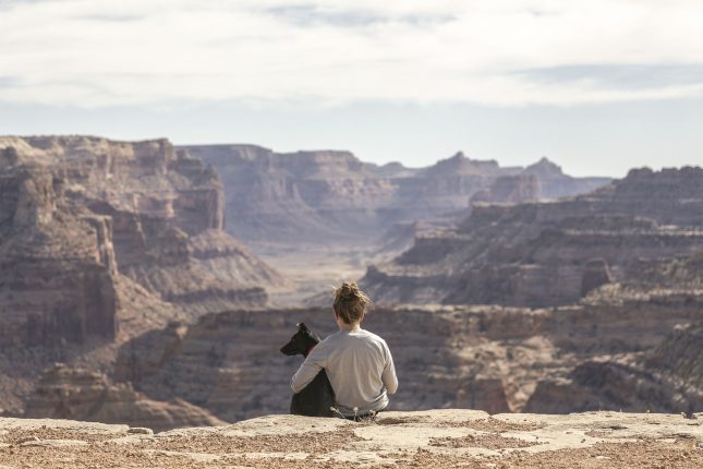 Boom di viaggi dog-friendly: istruzioni per l’uso
