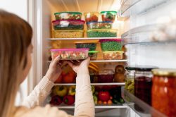 Temperatura frigo e freezer ideale, come regolarla