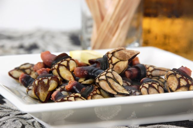 Percebes costo, cosa sono e come si mangiano