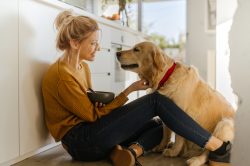 Dieta Barf cane costo, dosi e ricette