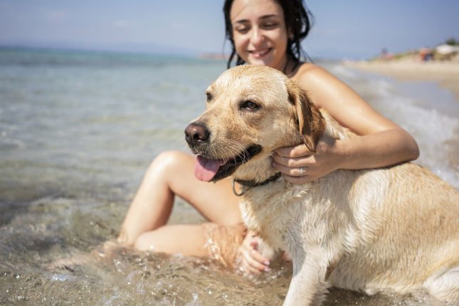 Spiagge per cani nelle Marche