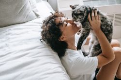 A chi lasciare il gatto quando si va in vacanza