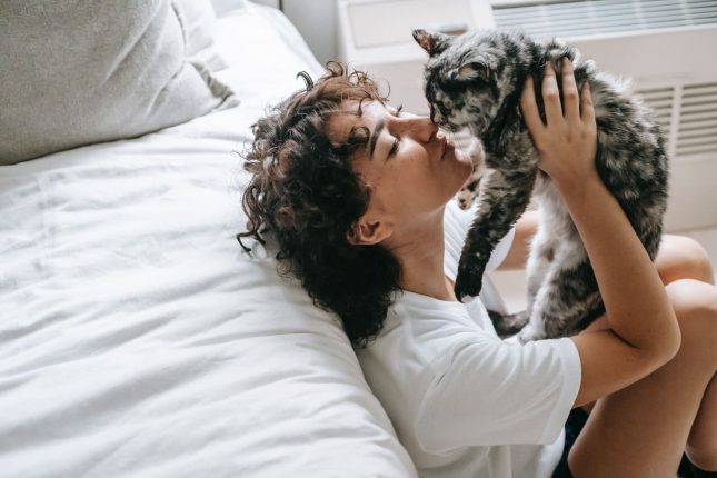 A chi lasciare il gatto quando si va in vacanza