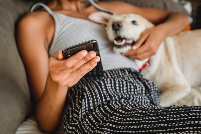 cose da sapere prima di prendere un cane