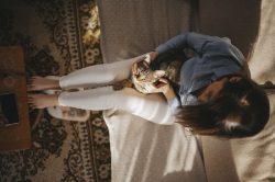 Prendersi cura gatto estate