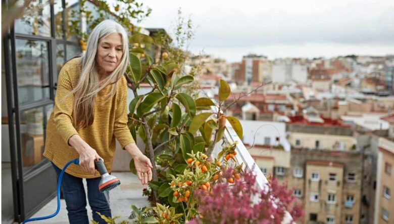Come allontanare i piccioni dal balcone definitivamente