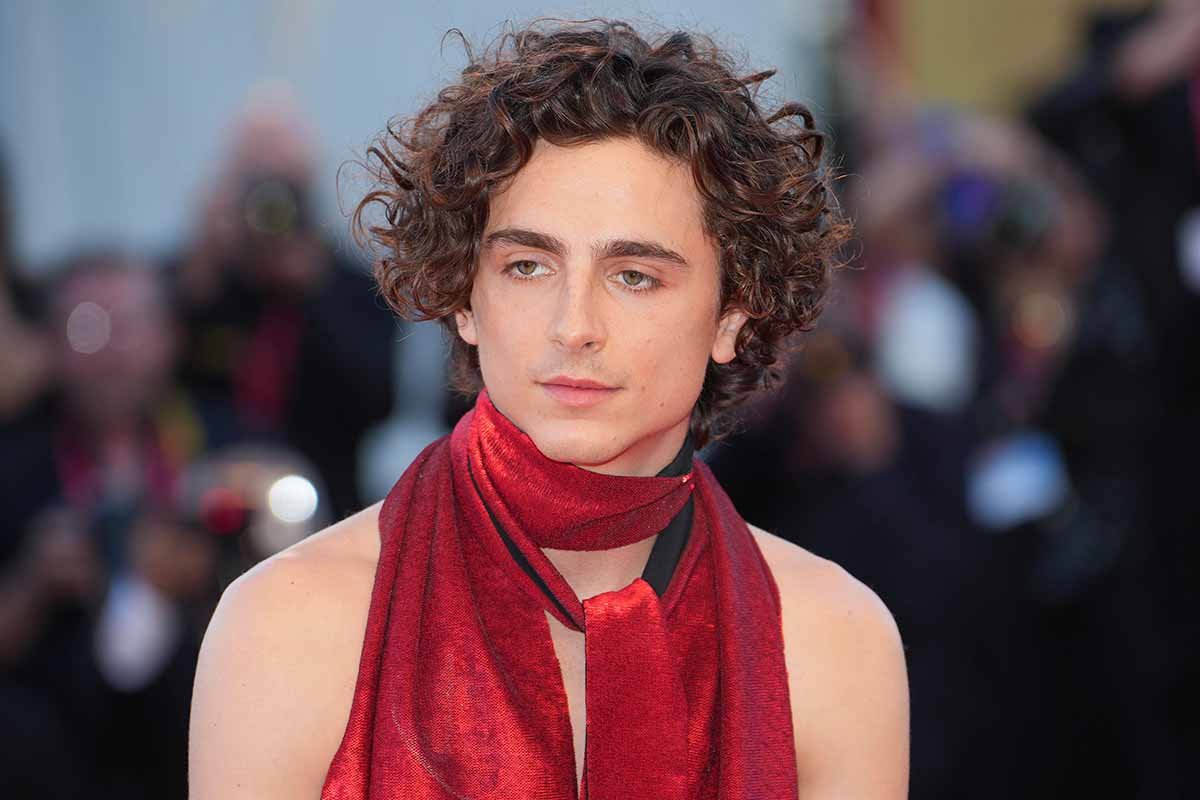 Venezia 79, Timothée Chalamet è nudo a metà: fan in delirio