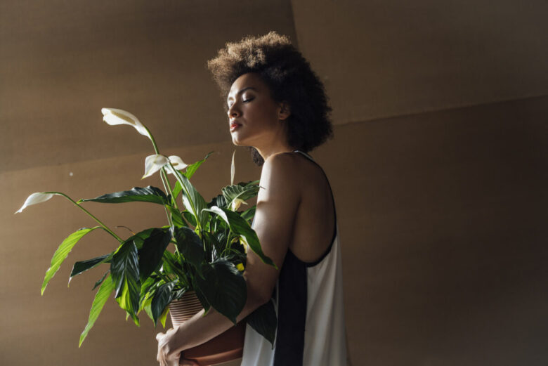 Pianta con fiori bianchi quali sono