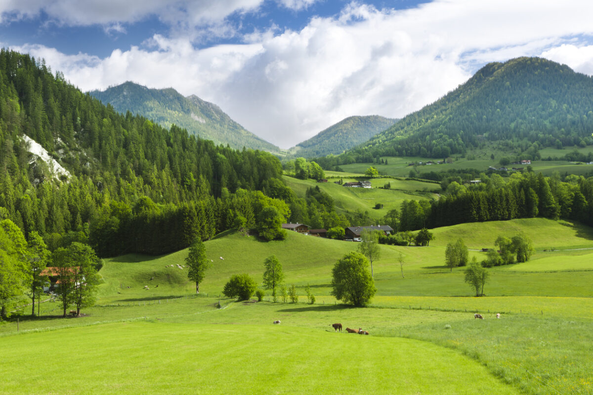 Qual è la regione più verde d'Italia