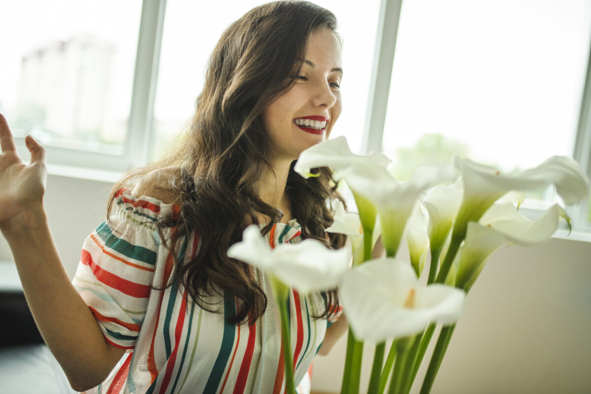 Calla colori e curiosità del fiore e della pianta