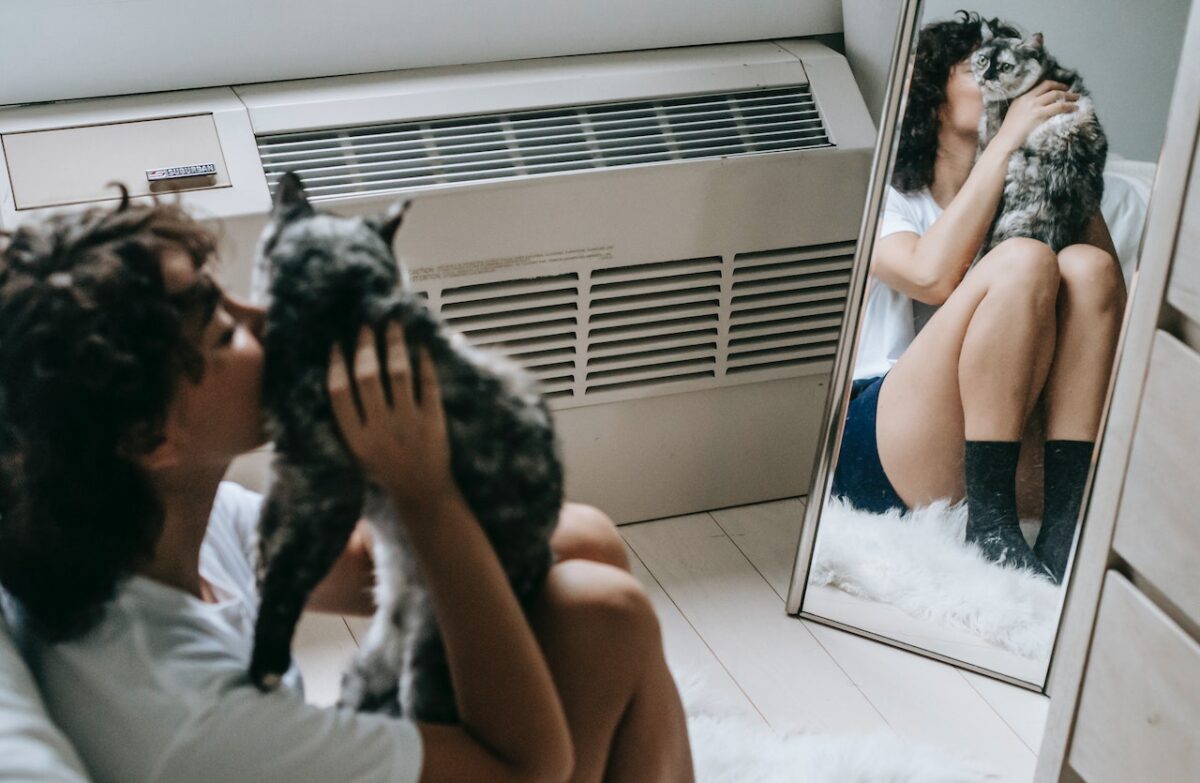 Età gatti come calcolarla e come calcolarla in anni umani