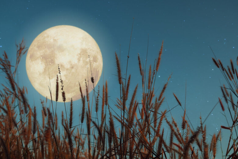 La luna fotografata tra i campi