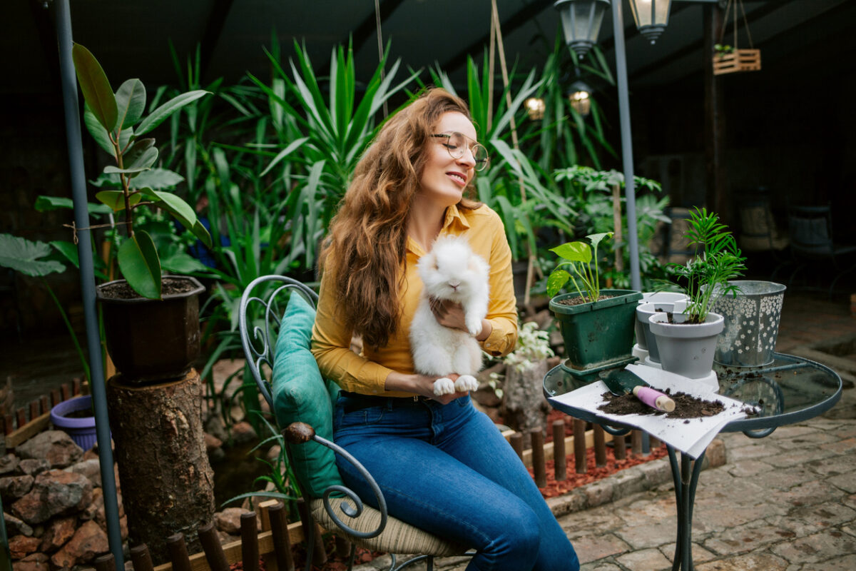 Coniglio in giardino: crea un ambiente sicuro per lui