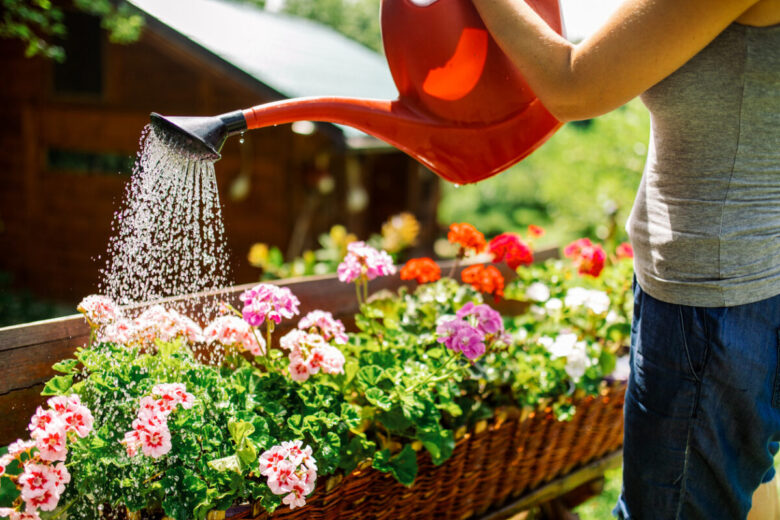 Cosa piantare in giardino a luglio?