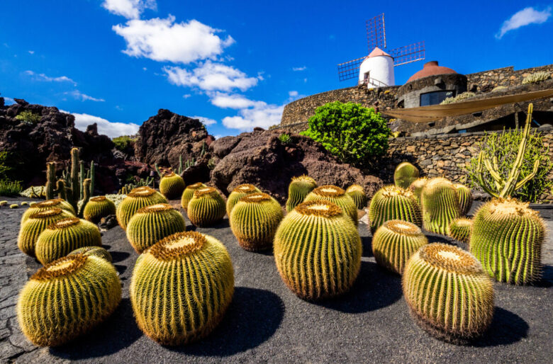 Giardino dei cactus a Lanzarote: cosa vedere