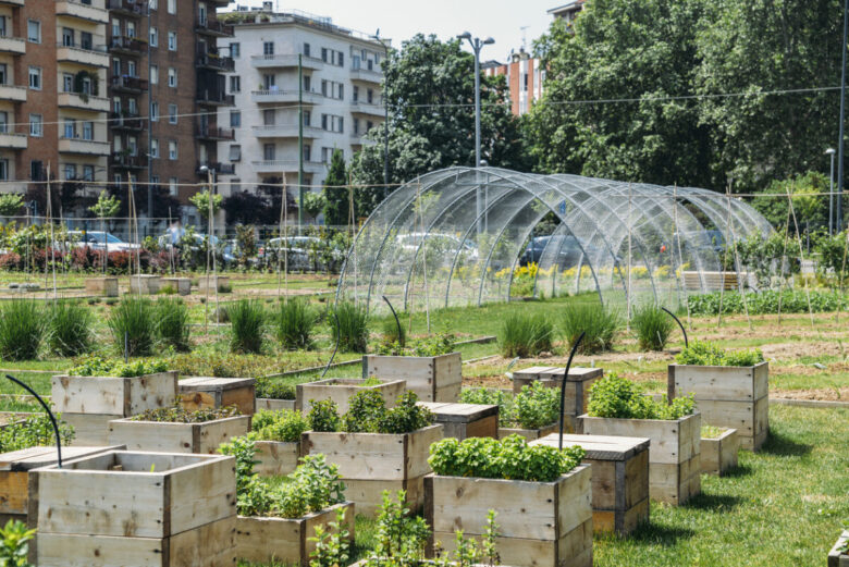 Come proteggere l'orto dall'inquinamento