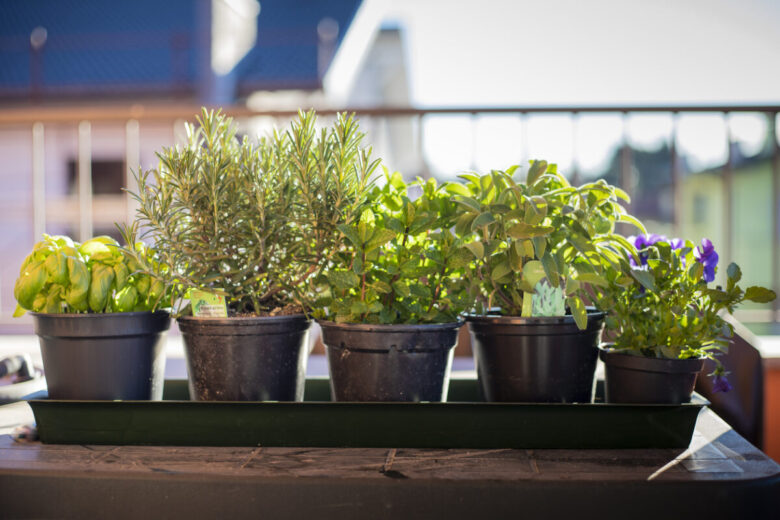 Vasetti con erbe aromatiche su un balcone