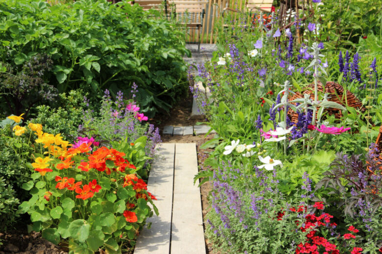 giardino fiorito in estate