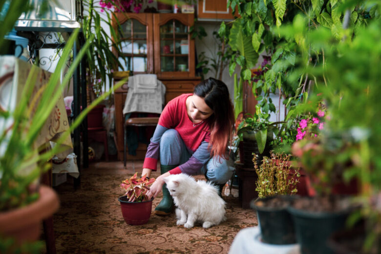 ragazza in casa che sta travasando una pianta mentre il suo gatto la osserva