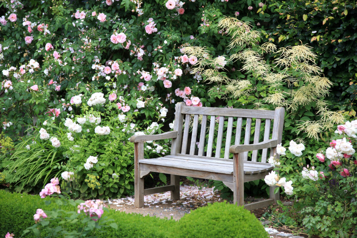 Panche in legno da giardino: quali scegliere