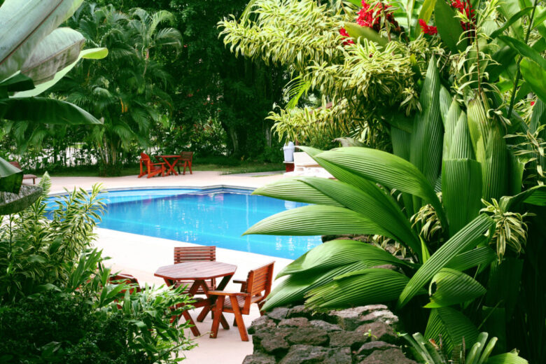 Piscina nel giardino