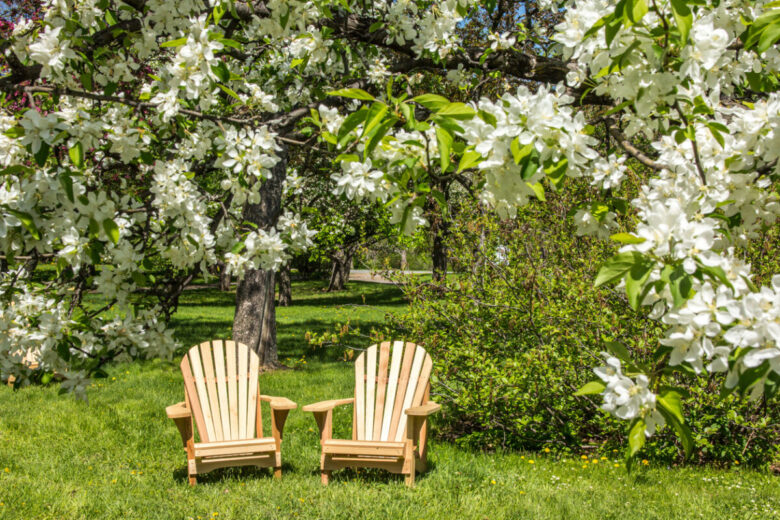 Sedie a sdraio per il giardino: i modelli più belli di design
