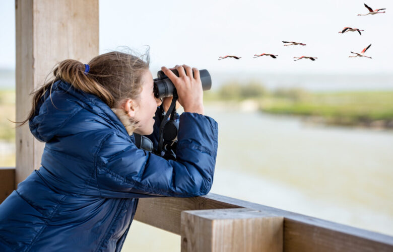 Dove fare birdwatching in Italia