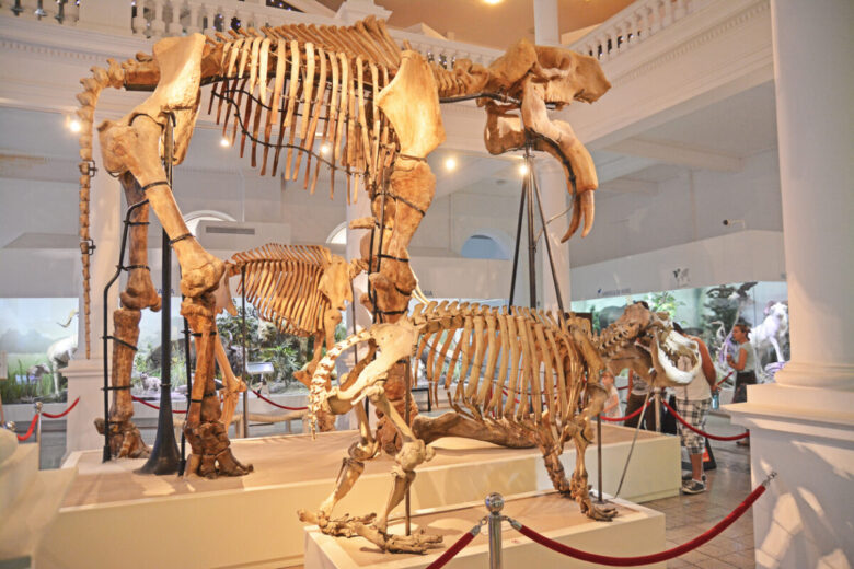 Musei di scienze naturali più belli d’Italia
