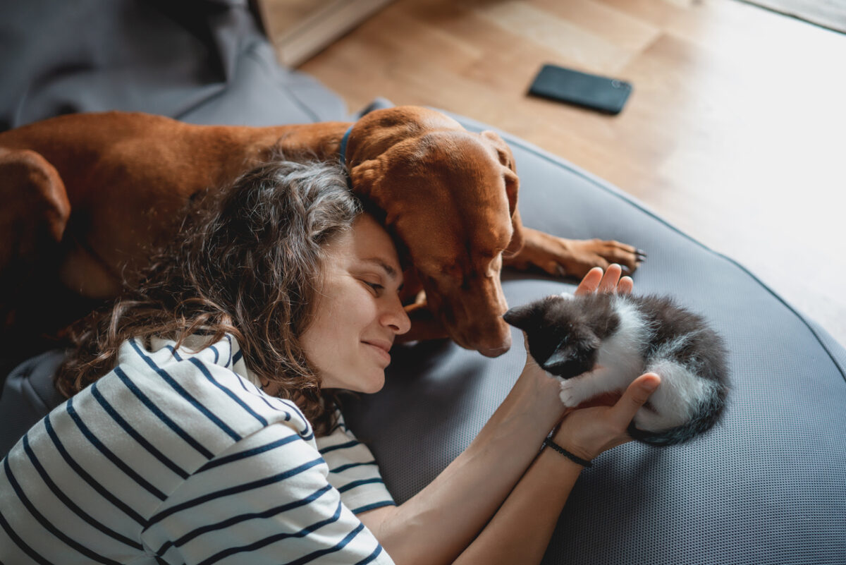 Animali domestici 5 consigli per ridurre l'impatto ambientale