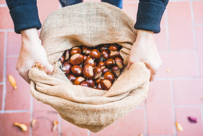 5 cose che non sai sulle castagne