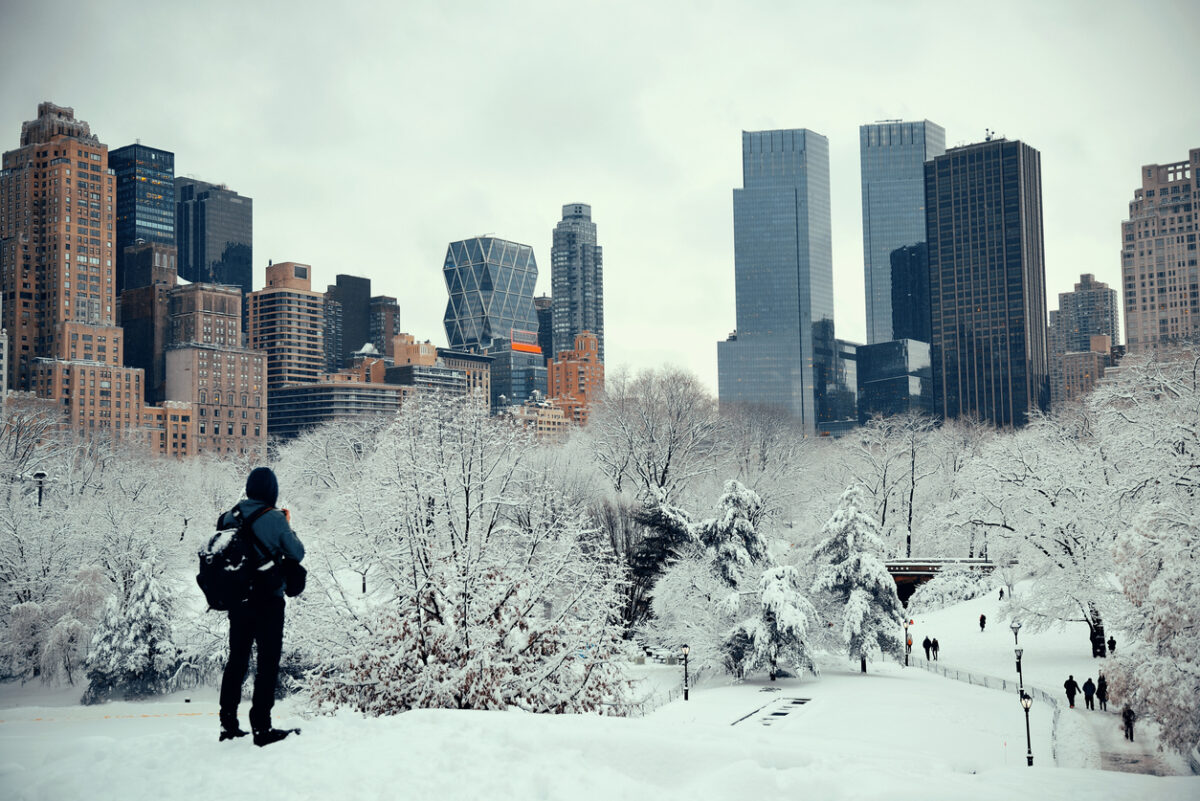 Central Park in inverno
