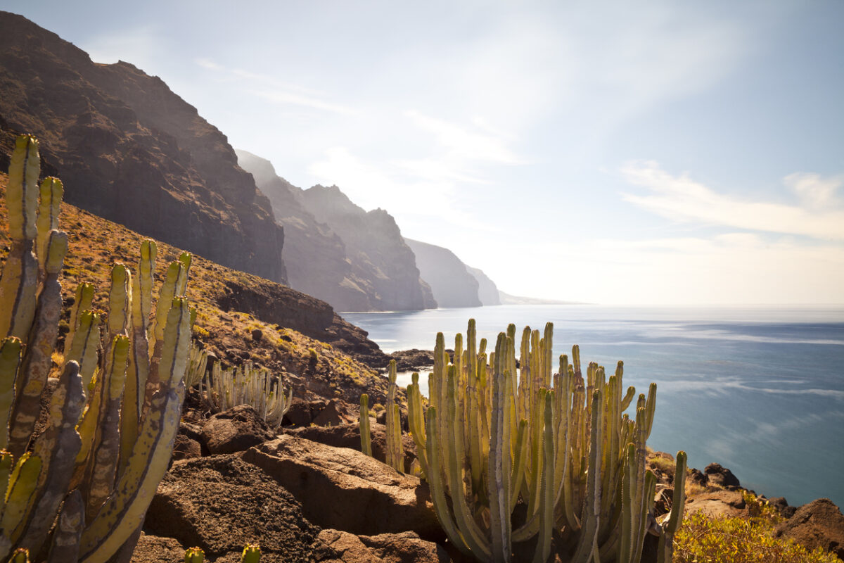 Punta de Teno, Tenerife