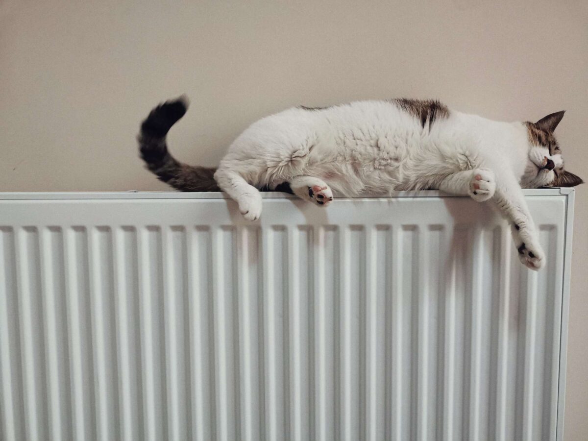 I trucchi per il termosifone: aumentano il caldo e abbattono le bollette